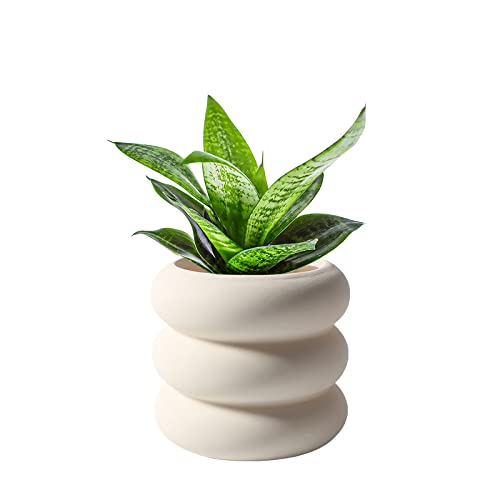 SANDYBAYTAS Keramik-Blumentopf für den Innenbereich, 11,4 cm, Beige, unglasierter Blumentopf mit Ablaufloch, kleine Blasen-Design, Keramik-Pflanzgefäß für Zuhause und Büro von SANDYBAYTAS
