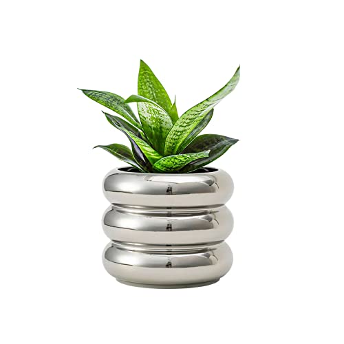 SANDYBAYTAS Keramik-Blumentopf für den Innenbereich, 11,9 cm (4,7 Zoll) mit Ablaufloch, Keramik-Blumentopf mit kl, zur Dekoration von Zuhause und Büro (Silber) von SANDYBAYTAS