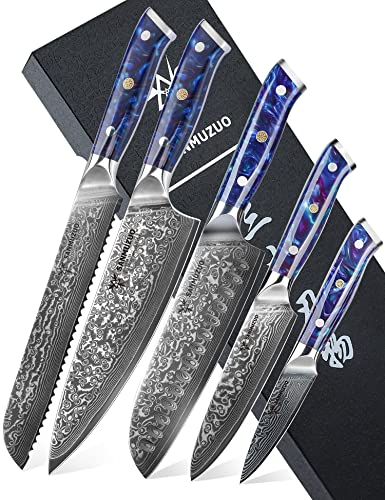 SANMUZUO Damast Küchenmesser Set, Chef Damastmesser Kochmesser Set- Küchenmesser Set von 5-Stück, Ultra-Sharp VG10 Damaskus Stahl mit Harz Griff, Xuan Serie (Saphirblau) von SANMUZUO