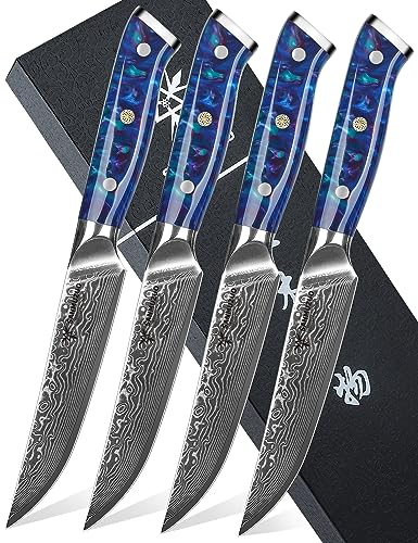 SANMUZUO Steakmesser Set, 4-teilig Damastmesser 13 cm Klinge - Steakbesteck Messerset - VG 10 Damaskus Stahl Küchenmesser mit Harzgriff - Xuan Serie(Saphirblau) von SANMUZUO