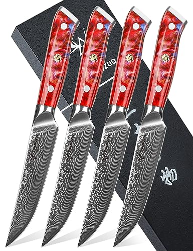 SANMUZUO Steakmesser Set, 4-teilig Damastmesser 13 cm Klinge - Steakbesteck Messerset - VG 10 Damaskus Stahl Küchenmesser mit Harzgriff - Xuan Serie(Sonnenuntergang Rot) von SANMUZUO