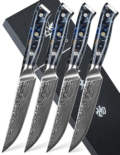 SANMUZUO Steakmesser Set, 4-teilig Damastmesser 13 cm Klinge - Steakbesteck Messerset - VG 10 Damaskus Stahl Küchenmesser mit Harzgriff - Xuan Serie(Sternenschwarz) von SANMUZUO