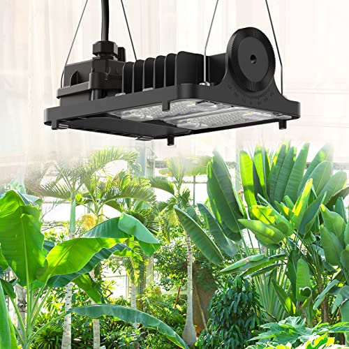 SANSI 70W LED Pflanzenlampe für Zimmerpflanzen, 700W Äquiv, Vollspektrum Dimmbares Wachstumslicht und optischer Linse für hohe PPFD, energiesparendes pflanzenlampen für große pflanzen von SANSI