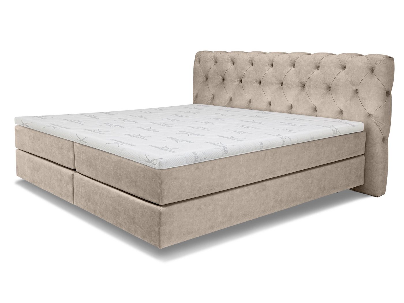 SANSIBAR Living Boxspringbett Boxspringbett SANSIBAR LANGEOOG Box-Spring-Bett Doppelbett von SANSIBAR Living