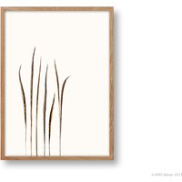Poster Gräser Din A4 & A3, Trockenblumen, Boho, Pflanzenposter, Botanik, Pampasgras, Bild Wohnzimmer, Abstrakt, Naturmotiv, Kunstdruck Poster Gräser Din A4 & A3, Trockenblumen, Boho, Pflanzenposter, Botanik, Pampasgras, Bild Wohnzimmer, Abstrakt, Naturmotiv, Kunstdruck von SANSdesignshop