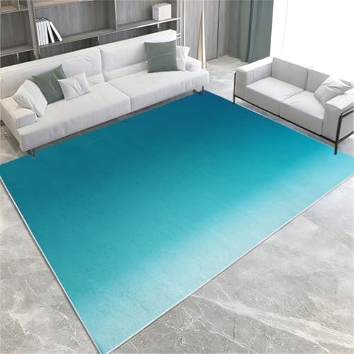SANTPOT Blaue Teppich Teppiche Hellblau Gradientenwaschbares Plüsch & Flauschiger Nicht Rutscher Pfahlbodenmatte Für Schlafzimmer Esszimmer & Lounges, von SANTPOT
