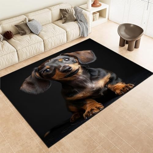 SANTPOT Schwarze Teppich Teppiche Tier Wurst Hundemaschine Waschbare Nicht-Schlupf-Fläche Teppich Easy Care Short Stapel Teppich Für Wohnzimmer Schlafzimmer Esszimmer Büro & von SANTPOT