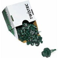 Sanundo - Twistec® Colorhead 4,8X20 moosgrün, für 451M8P 100St./Pck 292PVZ48X206005 Trapezblechschrauben von SANUNDO