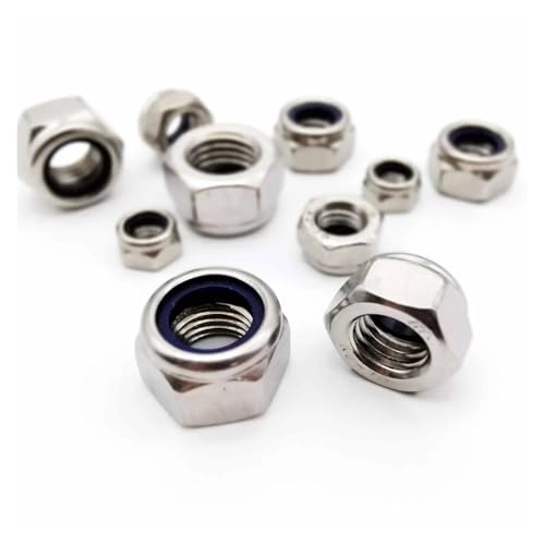 2/5/10/50X M2 M2.5 M3 M3.5 M4 M5 M6 M8 M10 M12 M16 304 Edelstahl Hex Hexagon Nylon Einsatz Selbst Lock Mutter Nylock Mutter Kontermutter(M10 5pcs) von SAPIIKEF