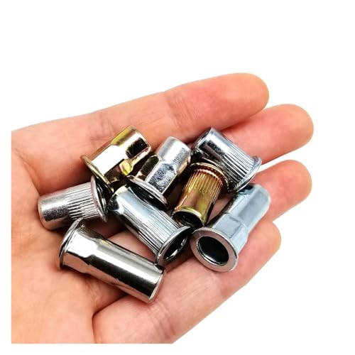20 Stück M3 M4 M5 M6 M8 M10 M12 Einsatznietmutter Rivnut Nutsert Blind Hex Flachkopf Kohlenstoffstahl Aluminium 304 316 Edelstahl(M304 stainless steel,M12) von SAPIIKEF