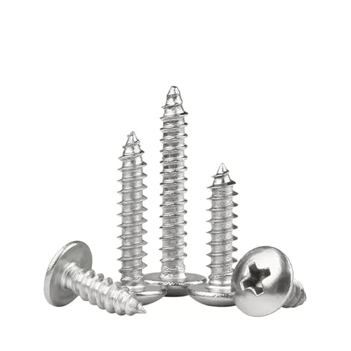 50/20/10 Stück M3 M3.5 M4 M5 M6 Kreuzschlitz-Flachrundkopf-Blechschraube 304 Edelstahl-Holzschraube mit Flachkopf(60mm,M5 (20pcs)) von SAPIIKEF