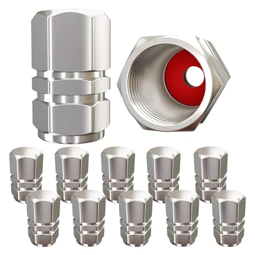 AUTCOAT Reifenventilkappen (12 Stück) Robuste Ventilkappen | Staubdicht, mit O-Gummidichtung | Sechseck-Design(Silver-12Pcs) von SAPIIKEF