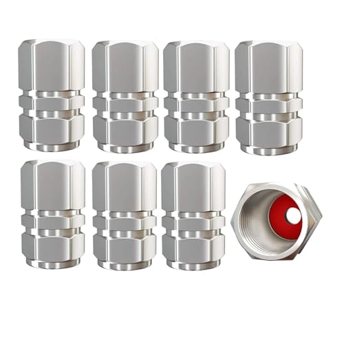 AUTCOAT Ventilkappen for Autoräder, Reifen, Felgen, Ventilkappen aus Aluminiumlegierung, staubdichte Reifenkappe for Autos, Motorräder, LKWs, Fahrräder(Silver-8Pcs) von SAPIIKEF