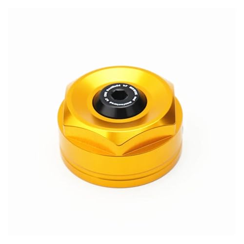 For ZX4RR ZX4R 2023 2024 ZX-4R ZX-4RR Motorradzubehör Zündschlüsselschutz Griff Mittelkappe Steckerabdeckung(Gold A) von SAPIIKEF