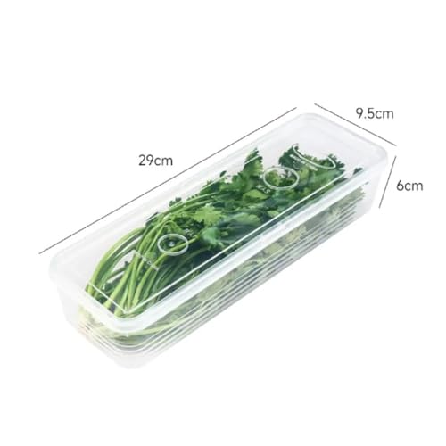 SAPIIKEF 1/5 Stück Kühlschrank-Aufbewahrungsboxen, Frühlingszwiebeln, Frischhaltebox, Behälter, Kühllager, Gemüsefach, versiegelter Kühlschrank-Organizer mit Deckel, Gläser(3pcs) von SAPIIKEF