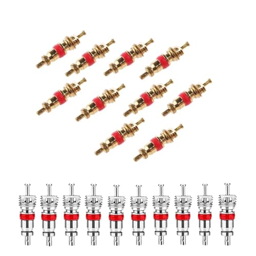 Schrader Tire Valve Core - American/US Valve Stems Core for Most Automotive,RV,ATV & Air Conditioning, Tire Remover Replacement(Silver-10Pcs) von SAPIIKEF