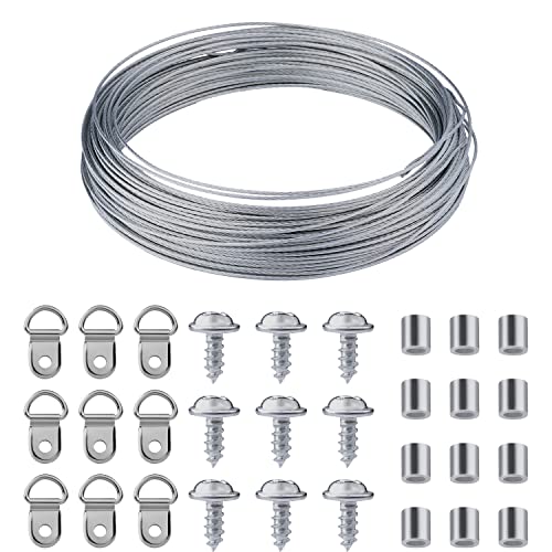 Draht zum Aufhängen von Bildern, 30 m Strapazierfähig Bilder Aufhängen Draht und Haken Set zum Aufhängen von Bildern mit Schrauben, D-Ring-Bildaufhängern und Crimpschlaufe von SAVITA