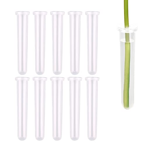 SAVITA 10 Stück Floral Water Tubes, 11 x 2,5 cm / 4,33 x 0,98 Zoll, Große Klare Blumen-Wasserröhrchen mit Kappen, Wiederverwendbare Plastikfläschchen für Blumenarrangements von SAVITA