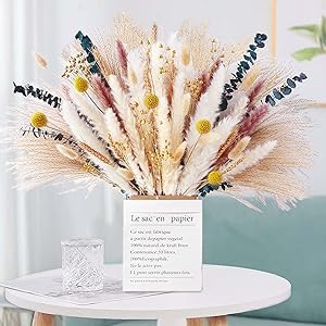 100 Pampasgras Natürliche Trockenblumen,Pampasgras Getrocknet Natürliche,Getrocknete Pflanzen, 8 Arten Flauschige Trocken Blumen,Pampasgras-Bouquet Schilfblume,Pampas Grass von SAVOSWEET