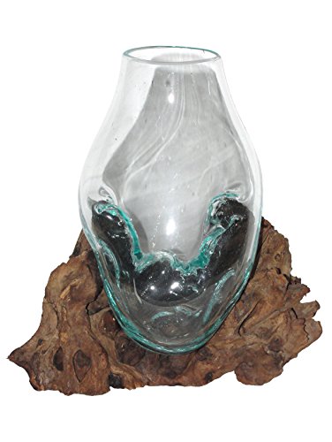 SAWA Glasvase Blumenvase 20 cm individuell auf Treibholz/Wurzelholz Vase mit Holz spezielle Glasvase von SAWA