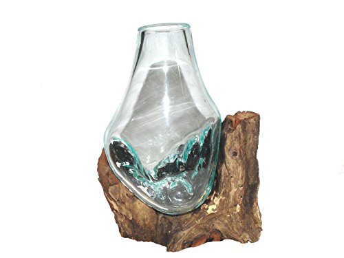 Glasvase Blumenvase 25 cm individuell auf Treib-Holz, Wurzel-Holz-Vase von SAWA