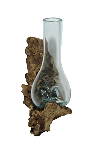 Glasvase Blumenvase 30 cm individuell auf Treibholz / Wurzelholz spezielle Vase mit Holz Wurzel von SAWA