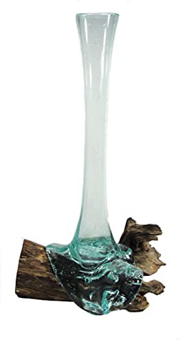 SAWA Glas-Vase Rosenvase XL Höhe ca. 45 cm individuell auf Treib-Holz, Wurzelholz Blumenvase von SAWA