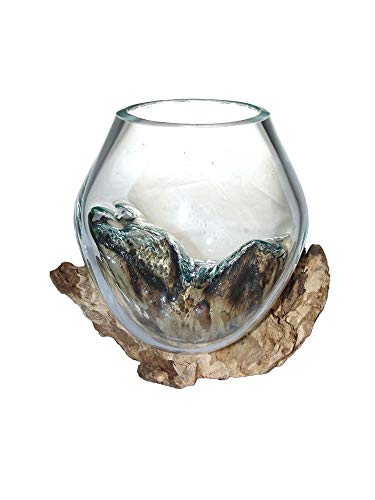 Spezial Deko-Vase Glasvase Blumenvase XS H 15 cm incl. Holz Ø Glas ca.12cm auf Treibholz/Wurzelholz Vase mit Holz von SAWA