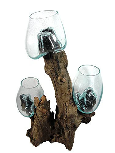 Wunderschöne Deko Vase-Glasvase mit 3 Gläsern auf Wurzel-Holz, Dekoration Akzentstück Wohnaccessoires Blumentopf Hausgarten Zimmerpflanzen Homedekor Pflanzenhalter.Höhe ca. 50 cm Unikat von SAWA