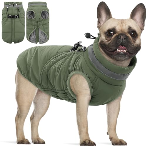 SAWMONG Hundemantel, warmer Hunde-Wintermantel, wasserdichte Fleecejacke, kaltes Wetter, Hundejacke (S, Grün) von SAWMONG