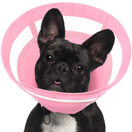 SAWMONG Weiche Hundekegel für kleine Hunde, Kegel für Hunde, um das Lecken zu stoppen, verstellbares Elizabeth E-Halsband für Hunde nach Operationen, bequemes Halsband zur Genesung von Haustieren (S SAWMONG Weiche Hundekegel für kleine Hunde, Kegel für Hunde, um das Lecken zu stoppen, verstellbares Elizabeth E-Halsband für Hunde nach Operationen, bequemes Halsband zur Genesung von Haustieren (S von SAWMONG