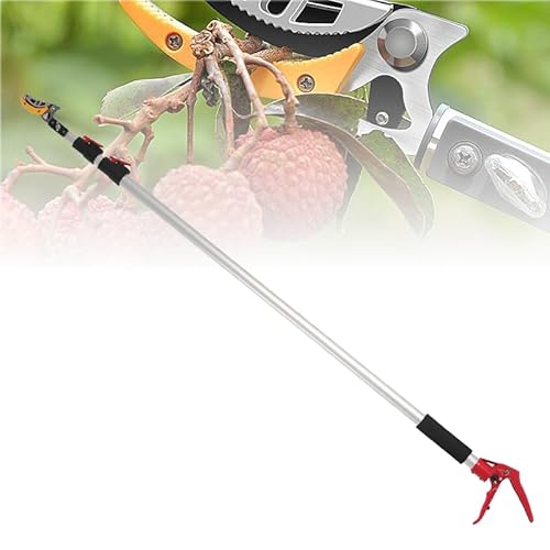 Hochentaster， Obstpflücker mit rotierendem Klingenkopf, Astschere mit Stangensäge und leichtem, ausziehbarem Aluminiumgriff for Astschneider, 4 m(3m) von SBJKLYRN
