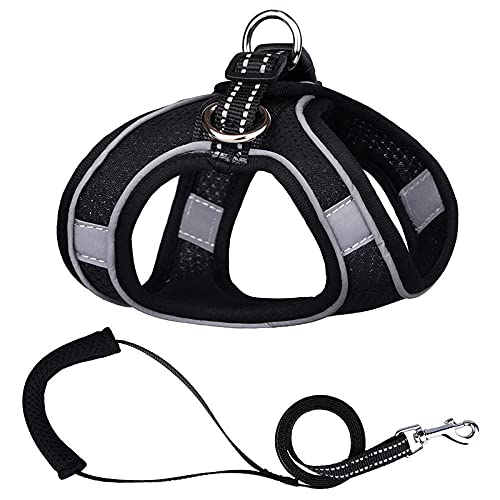 Hundegeschirr， Leine Set Welpen Mesh Harness Weich Gepolsterte Hundeleine Kleine Hunde Katzen Weste Hundezubehör DS(A,3XS) von SBJKLYRN