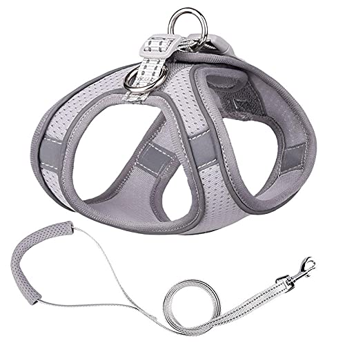 Hundegeschirr， Leine Set Welpen Mesh Harness Weich Gepolsterte Hundeleine Kleine Hunde Katzen Weste Hundezubehör DS(B,L) von SBJKLYRN