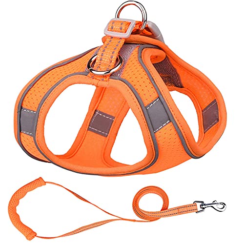 Hundegeschirr， Leine Set Welpen Mesh Harness Weich Gepolsterte Hundeleine Kleine Hunde Katzen Weste Hundezubehör DS(D,L) von SBJKLYRN