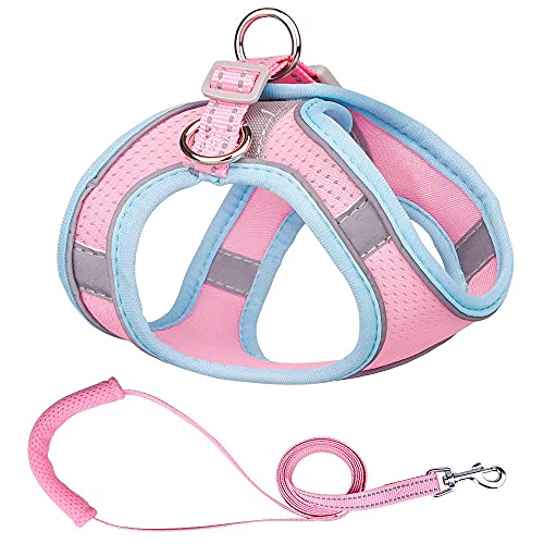 Hundegeschirr， Leine Set Welpen Mesh Harness Weich Gepolsterte Hundeleine Kleine Hunde Katzen Weste Hundezubehör DS(F,3XS) von SBJKLYRN