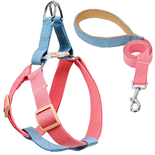 Hundegeschirr， Mit Blei Hundegeschirr und Leine No Pull Nylon Haustierleinen for kleine Hunde Bleileine Halsband Set GL(A,L) von SBJKLYRN