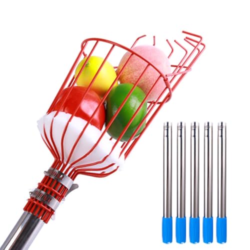 Picking Stick， mit schützender Schaumstoffauflage, Obstbaumpflücker aus Edelstahl for Apfel, Birne, Zitrone, Orange, Aprikose(2m) von SBJKLYRN