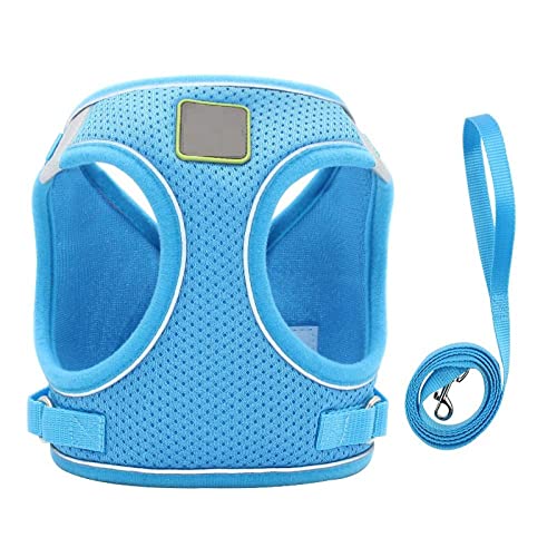 SBJKLYRN Hundegeschirr， Hunde- und Katzengeschirr-Set, blaues Nylon-Welpen- Katzengeschirr, Weste, reflektierendes Hundegeschirr Leine-Set(S) von SBJKLYRN