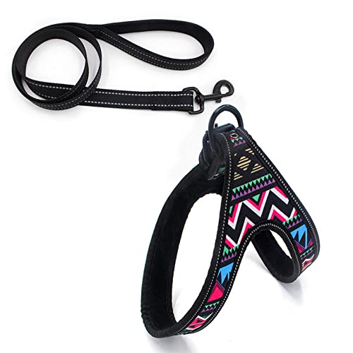 SBJKLYRN Hundegeschirr， Leine Set Reflektierende Hundegeschirre und Walking Training Hunde Harness Weste for Welpen große Haustier Leinen ES(E,L) von SBJKLYRN