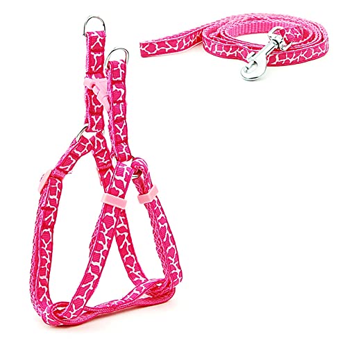 SBJKLYRN Hundegeschirr， Leinenset for Hunde, Bedruckt, Geschirr for kleine, und Leine, Set for Spaziergänge mit der Katze, 3 m(15,XS) von SBJKLYRN