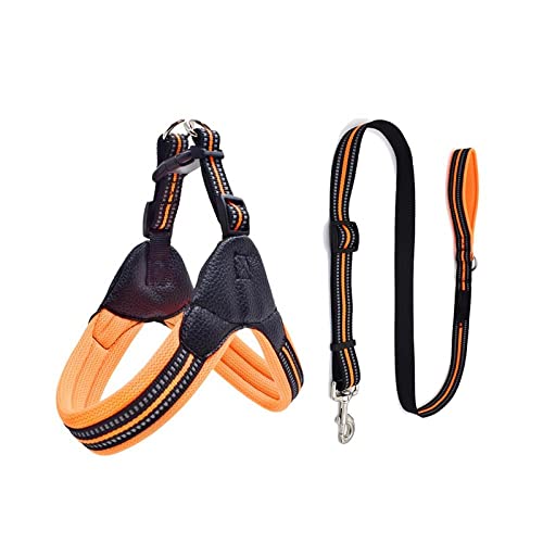 SBJKLYRN Hundegeschirr， Und Leine Orange Reflektierendes Haustiergeschirr Set Hundegeschirre for Kleine Mittelgroße Hunde Haustierzubehör L(L) von SBJKLYRN