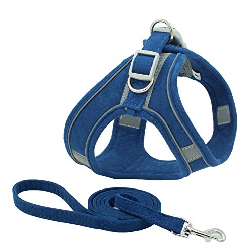 SBJKLYRN Hundegeschirr， Und Leine Reflektierende Hundekatzengeschirre Weste Haustier Hund Nylon Geschirr Set Rot Xs(Blue,XL) von SBJKLYRN