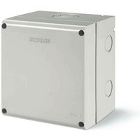 Ableitungsfall 136 ip66 576.4321 von SCAME