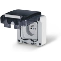 Einzel-Unterputzsteckdose 16A FRANZÖSISCH M95, IP66, grau, PROTECTA von SCAME