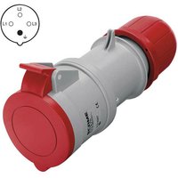 Flugdruck 3p+e 16a 6h ip44 rot farbe 313.1646 von SCAME