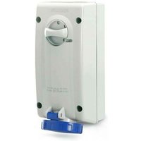 Verriegelte drucke 2p+e 16a 230v 6h blau farbe 561.1683 von SCAME