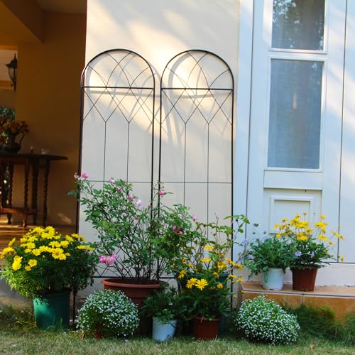 SCENDOR Garden 2er Set Metall-Garten-Trellis für Kletterpflanzen, 150 cm x 40.5 cm, Rostbeständiges Eisen-Trellis für Gurken, Tomaten, Rosen und Blumenbeete, Einzigartiges Design von SCENDOR