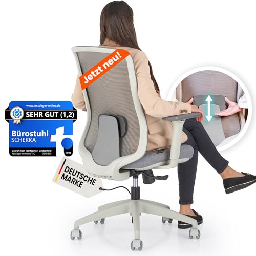 SCHEKKA Ergonomischer Bürostuhl [verstellbare Lordosenstütze] 3D-Armlehnen | Atmungsaktives Mesh | Ergonomic Desk Chair, Drehsessel | Büro, Homeoffice| 150kg (Hellgrau/Grau) von SCHEKKA