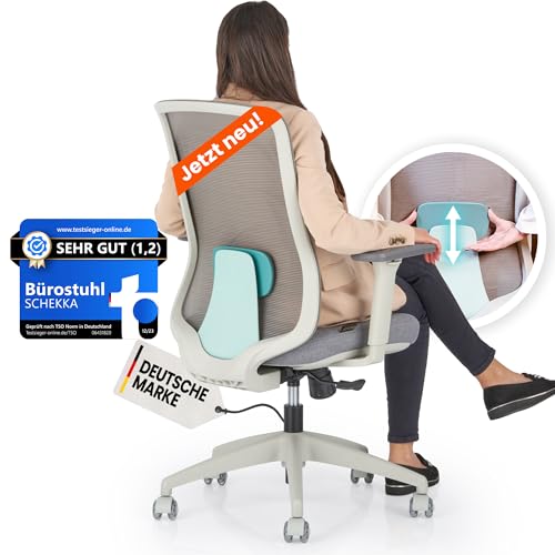 SCHEKKA Ergonomischer Bürostuhl [verstellbare Lordosenstütze] 3D-Armlehnen | Atmungsaktives Mesh | Ergonomic Desk Chair, Drehsessel | Büro, Homeoffice| 150kg (Hellgrau/Mint) von SCHEKKA